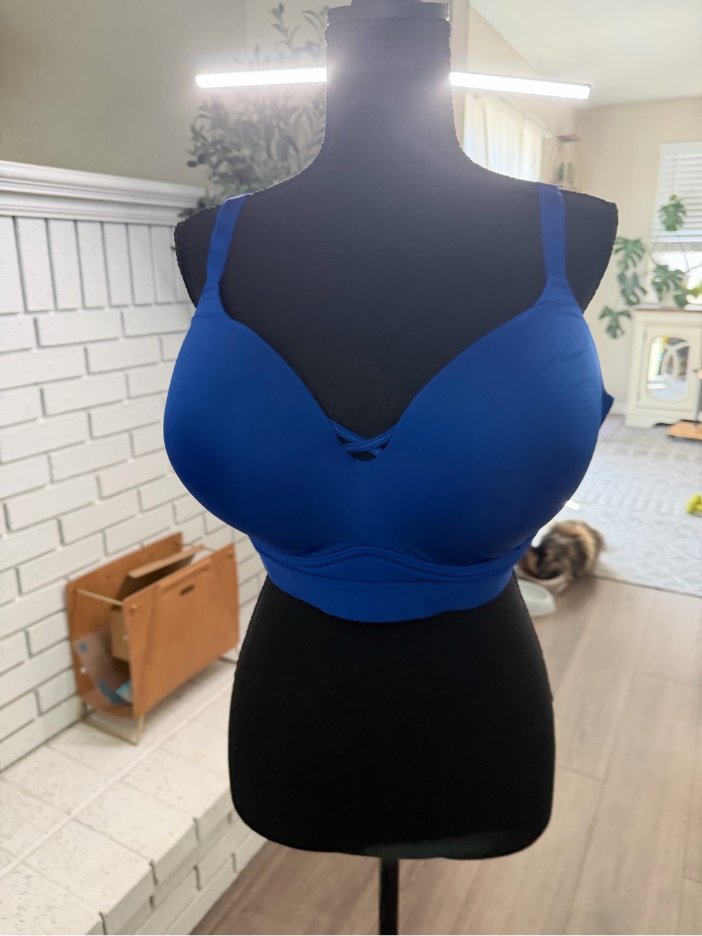 torrid Royal Blue Seamless Wireless T-Shirt Bra